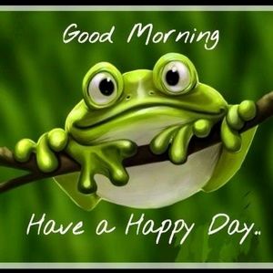 Meet your Posher, Tami